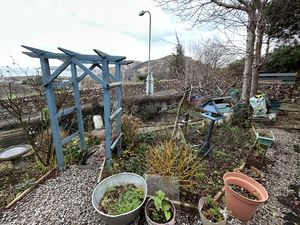 Photo 23- click for photo gallery